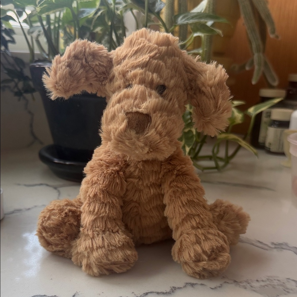 Jelly cat Dog brown
